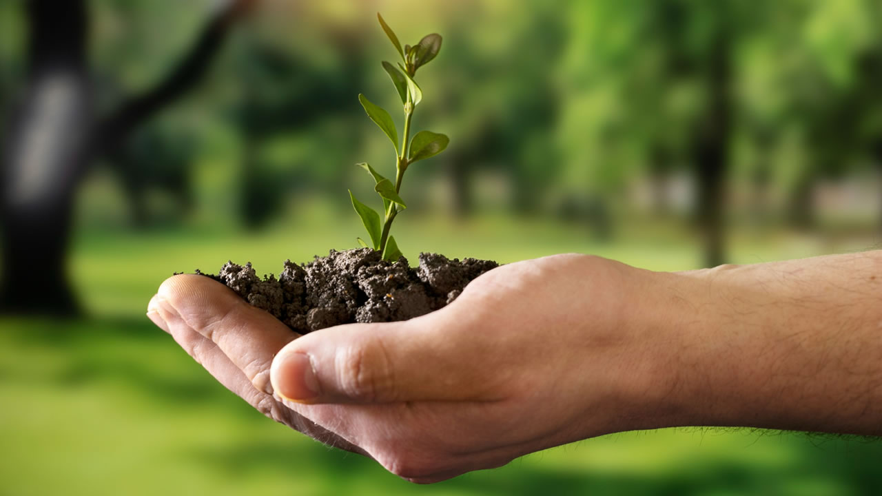 Governo do Brasil cria acesso ao Fundo Clima para micros e pequenos empreendedores